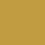 NCS-color-indie-1